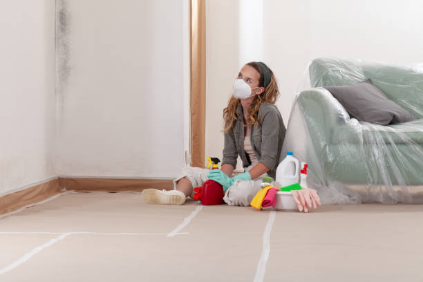 Reliable Black Mold Remediation contractor in Akron, NY by Mold Remediation HQ